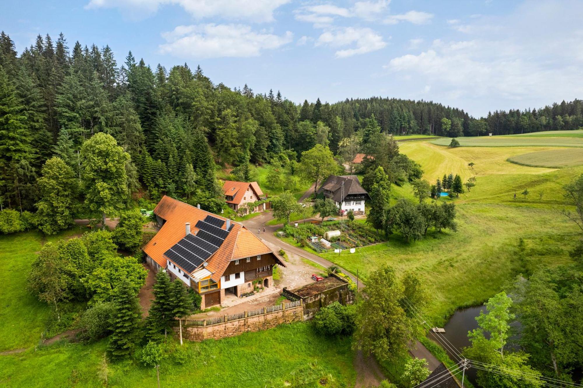 Villa Hexenhaeuschen Wolfach Exterior foto